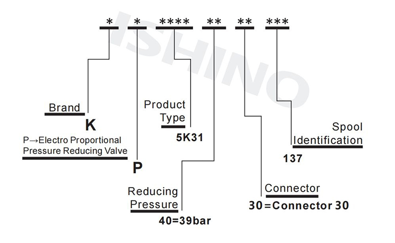 Selection Instructions(2).jpg