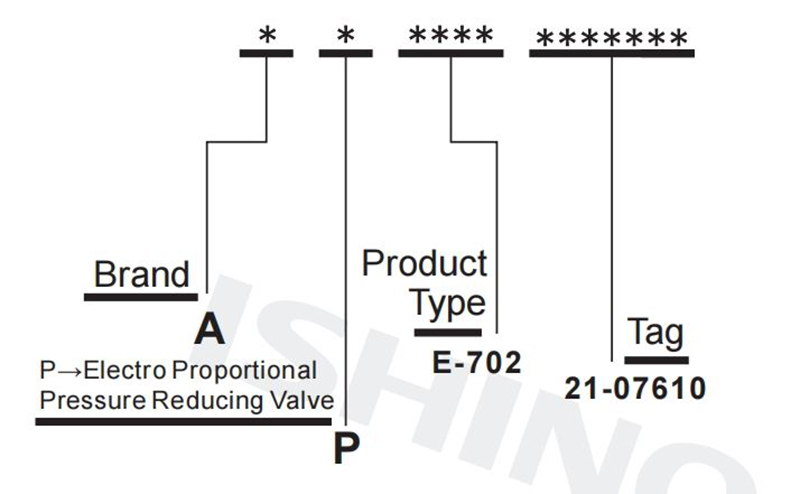 Selection Instructions(3).jpg